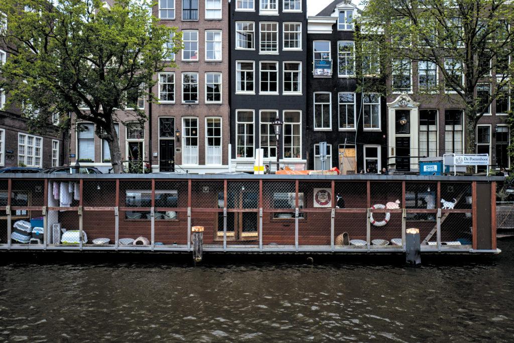 Плавающие кошки или скрытая достопримечательность Амстердама
